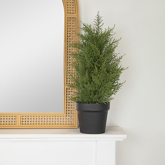 Northlight 2ft Real Touch™ Cedar Pine Petite Arborvitae In Round Pot Artificial Tree