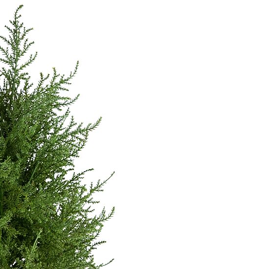 Northlight 2ft Real Touch™ Cedar Pine Petite Arborvitae In Round Pot Artificial Tree
