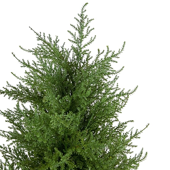 Northlight 2ft Real Touch™ Cedar Pine Petite Arborvitae In Round Pot Artificial Tree