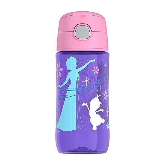 Thermos Frozen 16oz. Water Bottle with Spout
