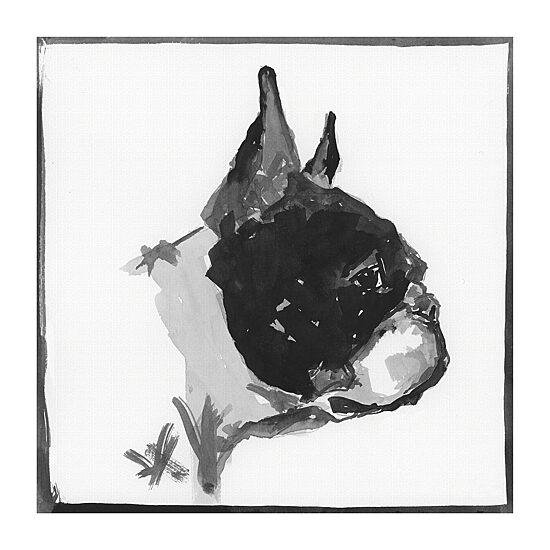 Lumaprints Boston Terrier Traditional Canvas Art
