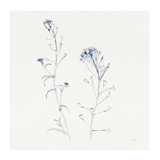 Lumaprints Shepherds Purse Stems I Blue Canvas Art