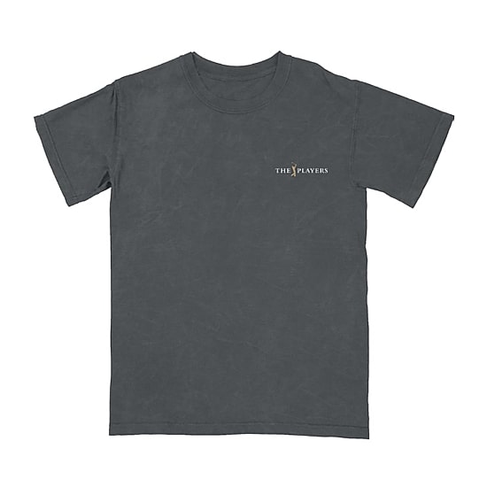 Mens Crew Neck Short Sleeve Regular Fit Graphic T-Shirt
