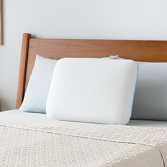Comfort Touch by Therapedic™ The Everyday Traditional Pillow
