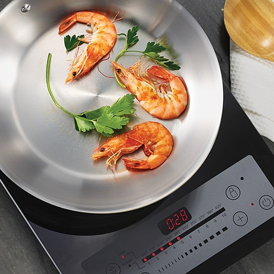 Tramontina Gourmet Tri-Ply Clad Stainless Steel Induction-Ready Fry Pan
