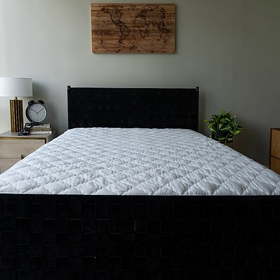 Sealy ComfortPlus+ Mattress Pad