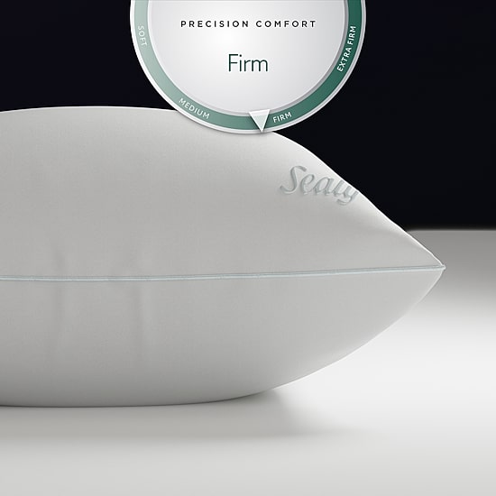 Sealy DreamTouch Firm Support Pillow