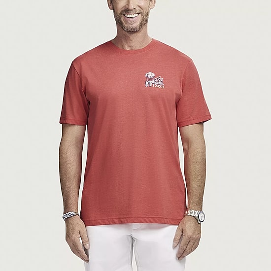 IZOD Saltwater Soft Wash Mens Crew Neck Short Sleeve Classic Fit Graphic T-Shirt