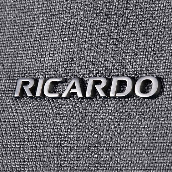 Ricardo Beverly Hills Malibu 3.0 20 Inch Softside Expandable Lightweight Carry-On Spinner Luggage