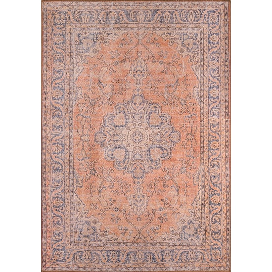 Momeni Afshar 11 Medallion Indoor Rectangular Accent Rug
