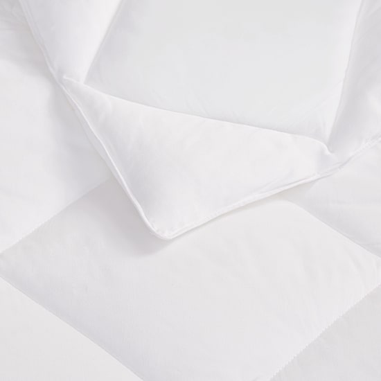 Sleep Philosophy Maximum Warmth 300 TC Cotton Sateen Comforter Down Alt 3M Thinsulate