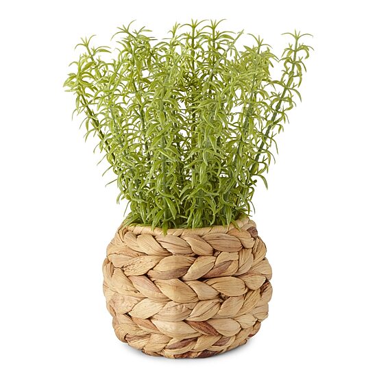 Linden Street 10" Potted Water Hyacinth Artificial Plant