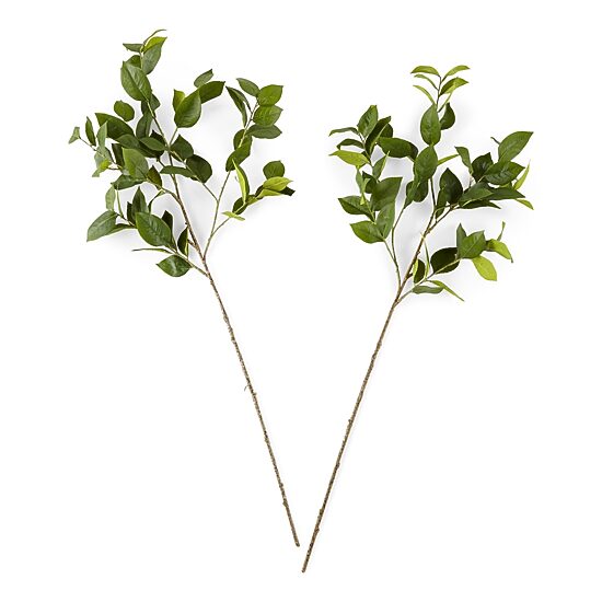 Linden Street 40" Lemmon Leaf 2-pc. Vase Filler