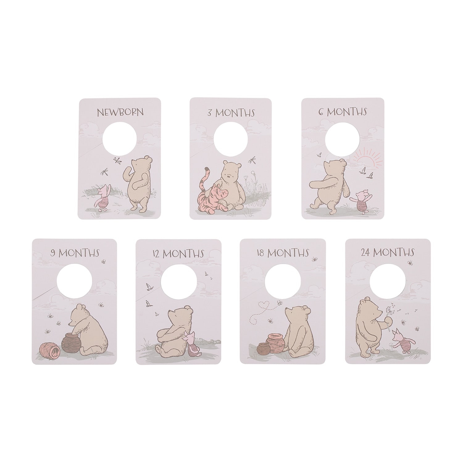 Disney Winnie The Pooh Hanging Organizer