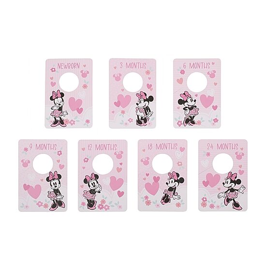 Disney Minnie Mouse Hanging Organizer