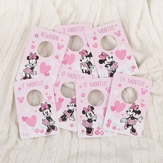 Disney Minnie Mouse Hanging Organizer