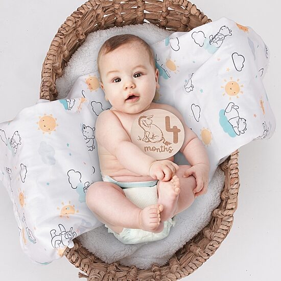 Disney Unisex Baby Milestones