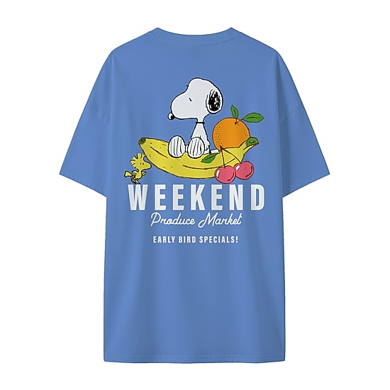Womens Crew Neck Short Sleeve Regular Fit Snoopy Graphic T-Shirt