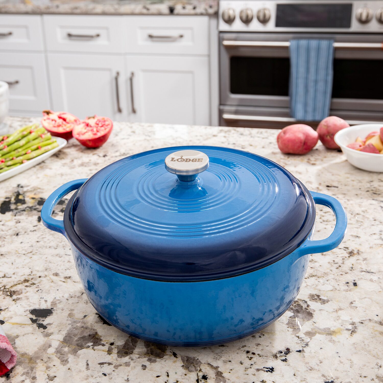 Lodge Cookware 1/2 Qt Enameled Cast Iron Dutch Oven