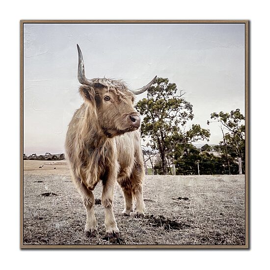 Streamline Art Countryside Highland Framed Canvas Art