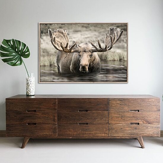 Streamline Art Moose Hot Springs Framed Canvas Art