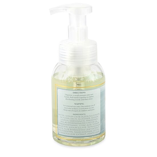 Distant Lands 8 oz. Aquamarine Foaming Hand Soap
