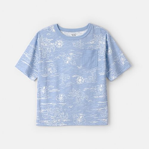 Carter's Scenic Little & Big Kid Boys Round Neck Short Sleeve T-Shirt, 6, Blue