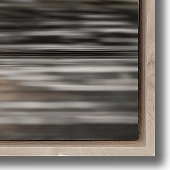 Streamline Art Moose Hot Springs Framed Canvas Art