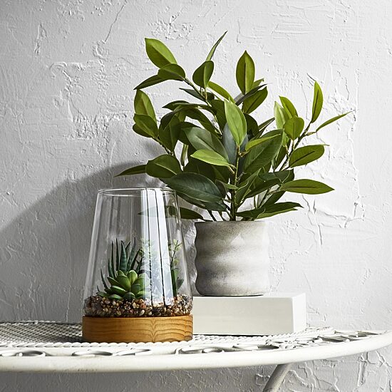 Linden Street 7in Mixed Succulent Terrarium Artificial Plant