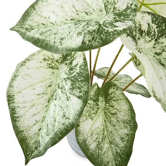 Linden Street 16.5in White Philodendron Artificial Plant