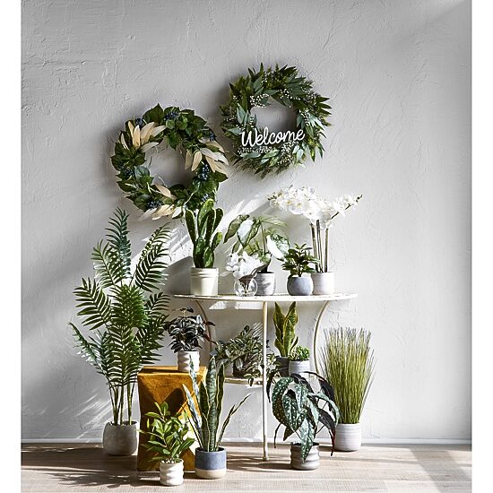 Linden Street 10.75in Rubber Artificial Plant