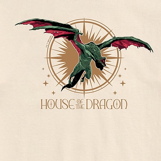 Mens Short Sleeve House of the Dragon Graphic T-Shirt