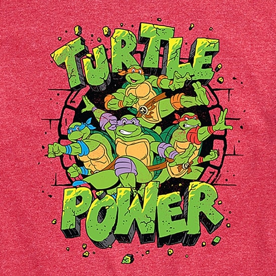 Mens Short Sleeve Teenage Mutant Ninja Turtles Graphic T-Shirt
