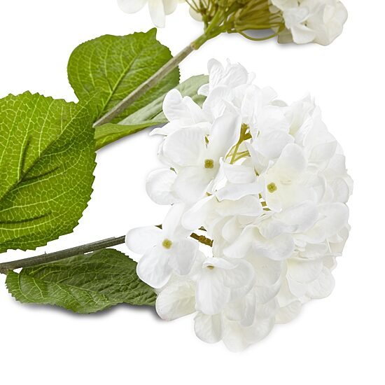 Linden Street 24" White Hydrangea 2-pc. Vase Filler