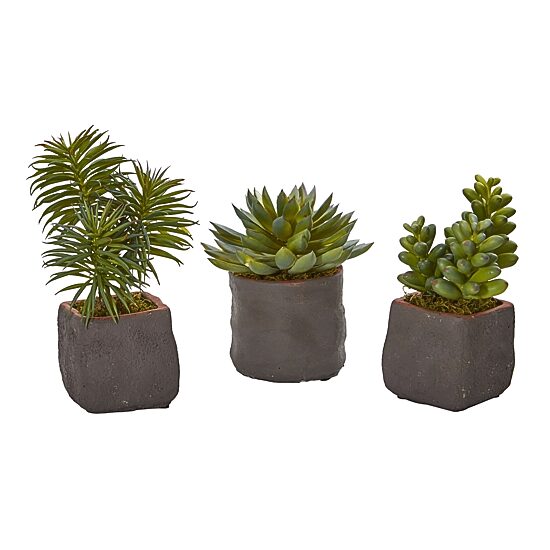 Mixed Succulent Trio Artificial Plant (Set of 3)