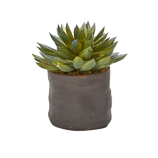 Mixed Succulent Trio Artificial Plant (Set of 3)