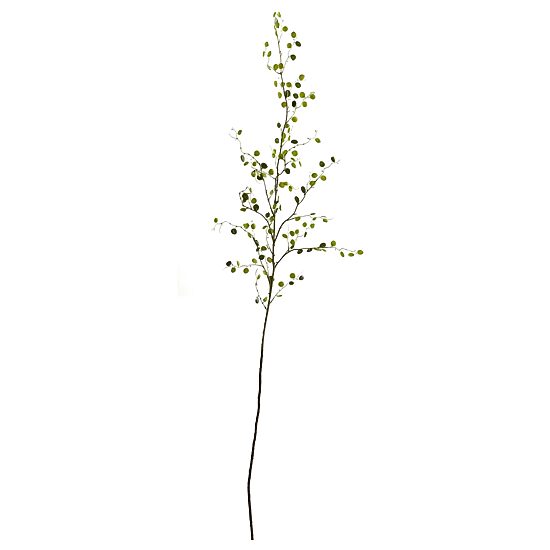 48” Night Willow Artificial Flower Stems; Set of6