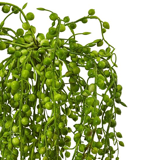 Senecio Artificial Succulent Plant; Set of 3