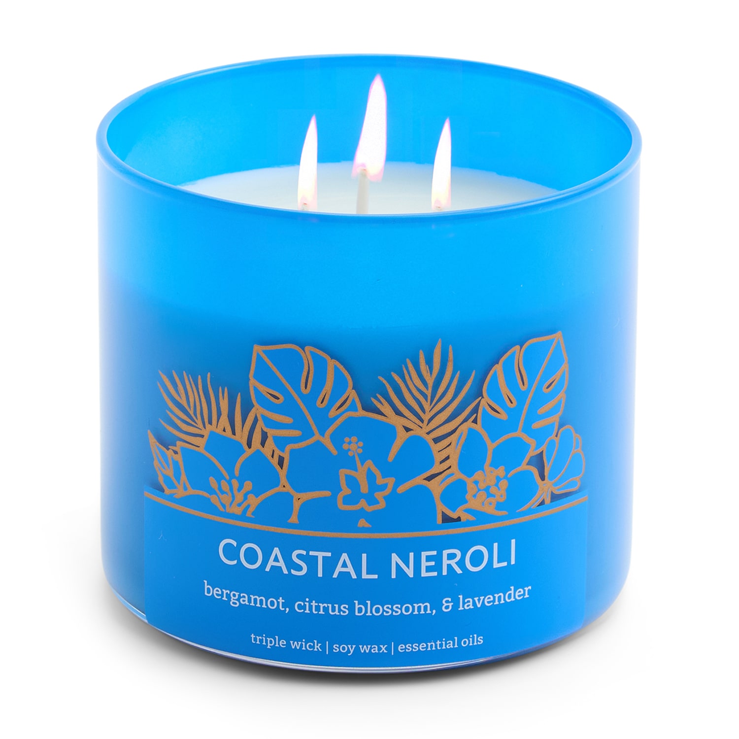 Distant Lands 14oz Coastal Neroli 3-Wick Scented Jar Candle