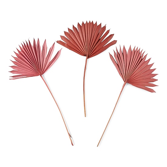 Distant Lands 19" Preserved Fan Palm 3-pc. Vase Filler