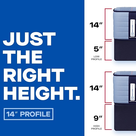 Sealy StableSupport 5" Low Profile Flat Foundation