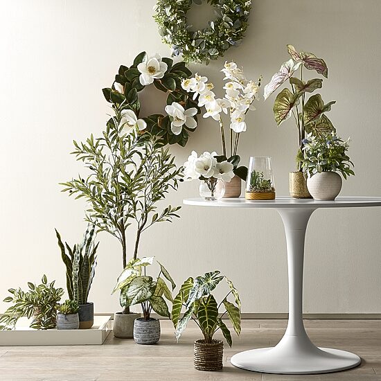 Linden Street 7in Mixed Succulent Terrarium Artificial Plant