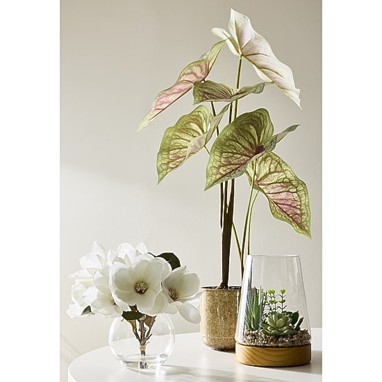 Linden Street 8in  White Magnolia Artificial Plant