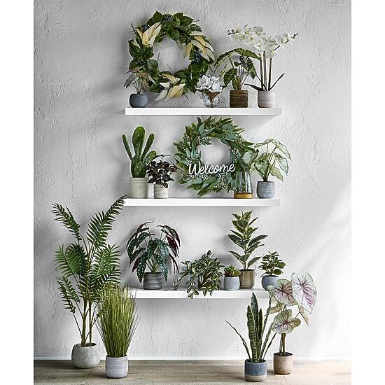 Linden Street 48in Tropical Palm Indoor Artificial Tree