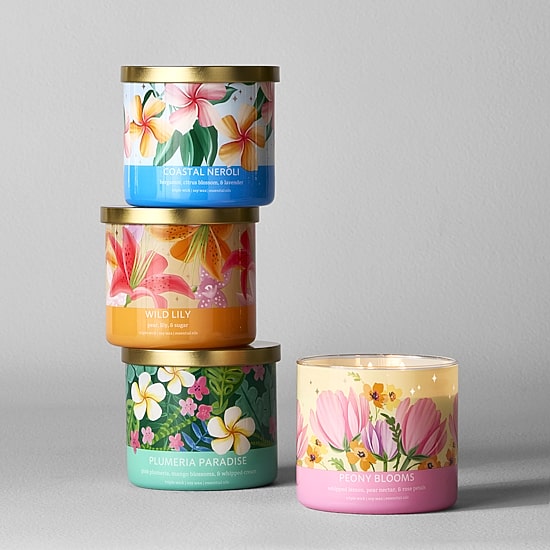 Distant Lands 14oz Plumeria Paradise 3-Wick Scented Jar Candle