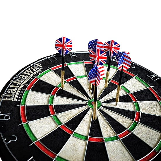 Hathaway Winners Choice 18-In Sisal Fiber Bristle Dartboard