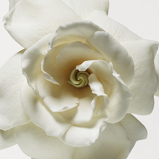 Donna Karan Cashmere Mist Eau de Toilette