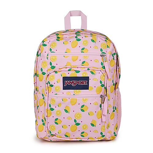 JanSport Big Student Backpack, One Size, Pink