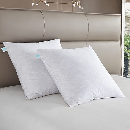 Martha Stewart Euro Pillow