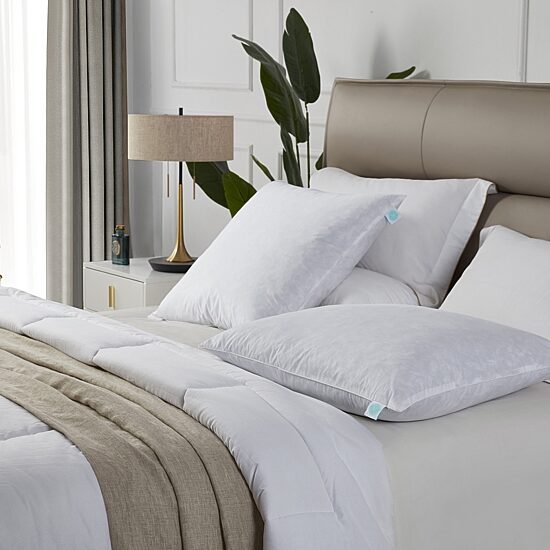 Martha Stewart Euro Pillow
